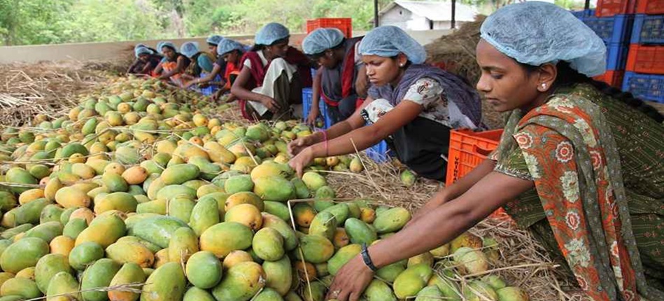 40,000 wadi farmers and 50 producer organisations; 25 NABARD-empanelled organisations; 5 cluster-level FPOs; 69 Agri Business Centres; 2 Cattle Breeders Welfare Associations